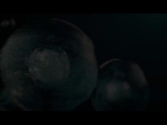 ハビオ・ビデオ