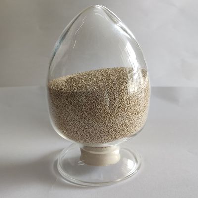 ハビオリパース酵素 動物の改善 消化と吸収システム