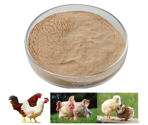 ハビオ プロテアゼ 飼料級 ペプチド 分解酵素 高安定性