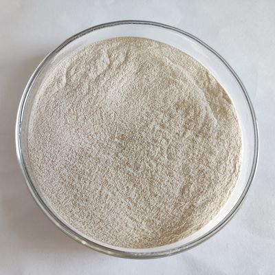 酵素飼料添加物 リパーゼ 白色粉末 50,000-200,000 動物生産性向上