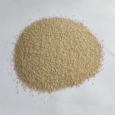 ハビオ 酵素 脂質 栄養 吸収 活用 改善 バイオディーゼル