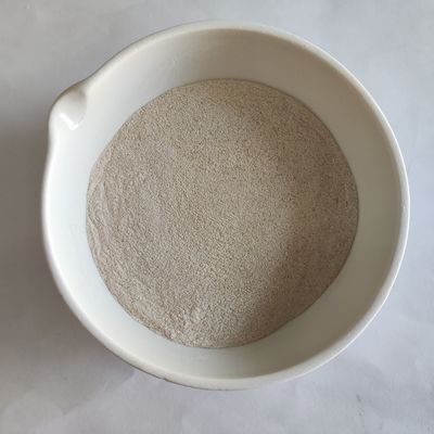 酵素性リパース粉 50,000~200,000 微生物発酵 リパース酵素