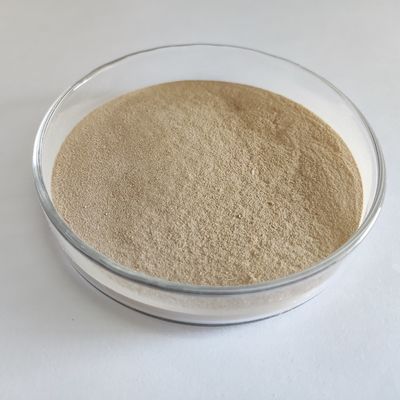高効率のハビオニュートラルプロテアース消化プロテオリティス酵素粉末/粒 100,000u/g