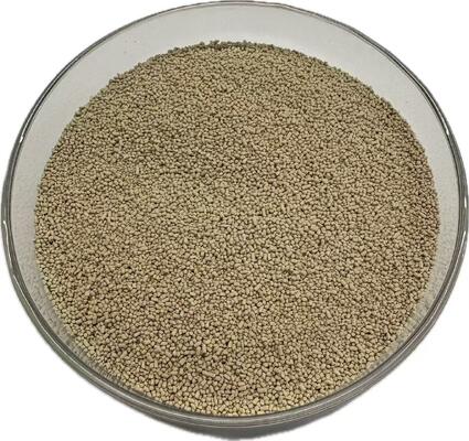 脂肪の消化率とエネルギー利用を改善する動物飼料用リパーゼ酵素 |リポザイム