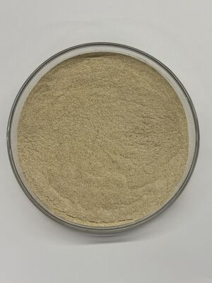 BP100 パウダー タンパク質の消化性と腸の健康を改善するための動物用飼料のプロテアース酵素