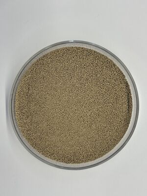 高安定性フードプロテアース酵素 BP100 タンパク質利用とアミノ酸消化性の向上 (100,000U/g)