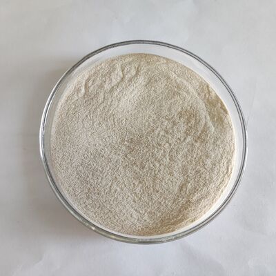 工場供給 飼料品 脂質酵素 300,000U/g 動物用飼料用粉末 飼料用プリミックス添加物