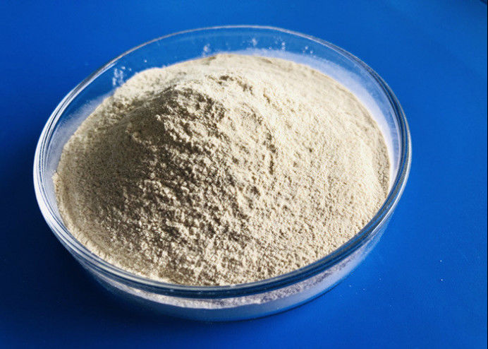Cas 9025 57 4食品工業のプロテアーゼの消化酵素80の網のプロテアーゼ