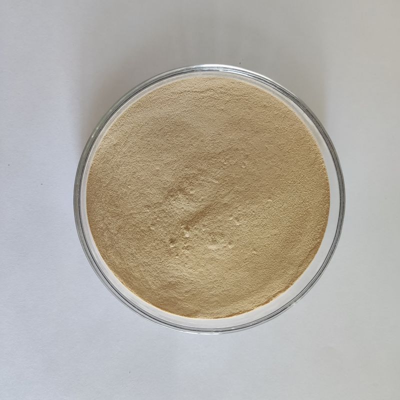 ハビオ プロテアーゼ BP100 100,000U/g 粉末/顆粒 全腸飼料プロテアーゼ