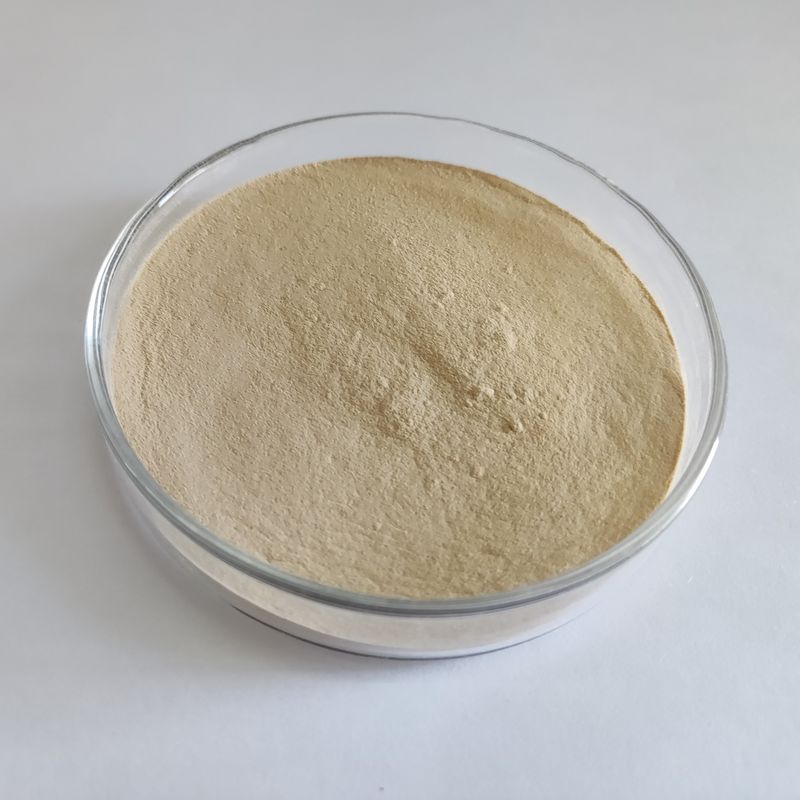 ハビオ プロテアーゼ BP100 100,000U/g 粉末/顆粒 全腸飼料プロテアーゼ