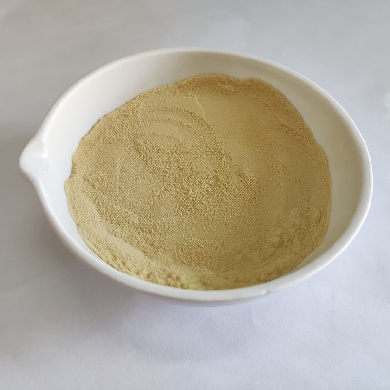 製パン、澱粉糖、アルコールおよび醸造産業用の真菌性アルファ アミラーゼ食品グレード酵素