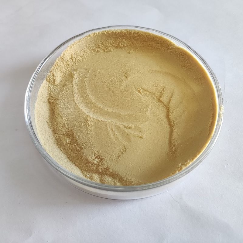 製パン、澱粉糖、アルコールおよび醸造産業用の真菌性アルファ アミラーゼ食品グレード酵素