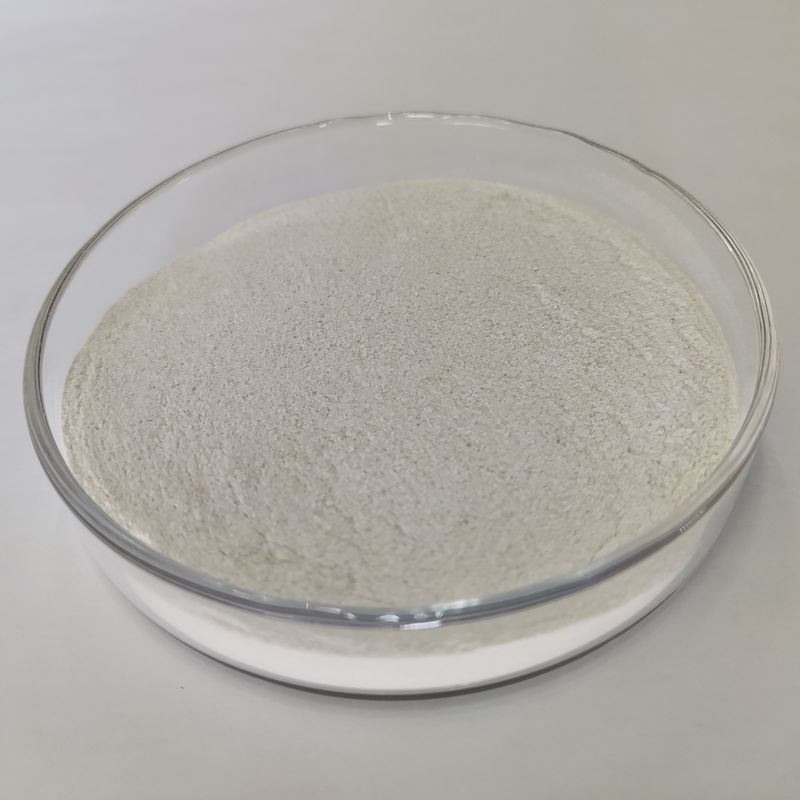 Habioの洗剤のためのアルカリ プロテアーゼ200,000~1,000,000u/Gの生物酵素の粉