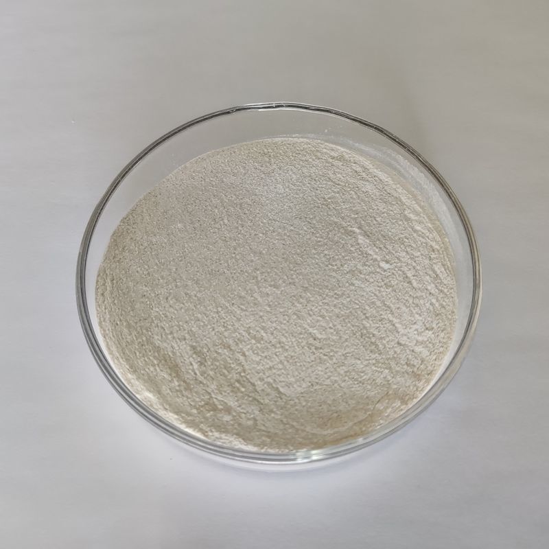酵素性リパース粉 50,000~200,000 微生物発酵 リパース酵素