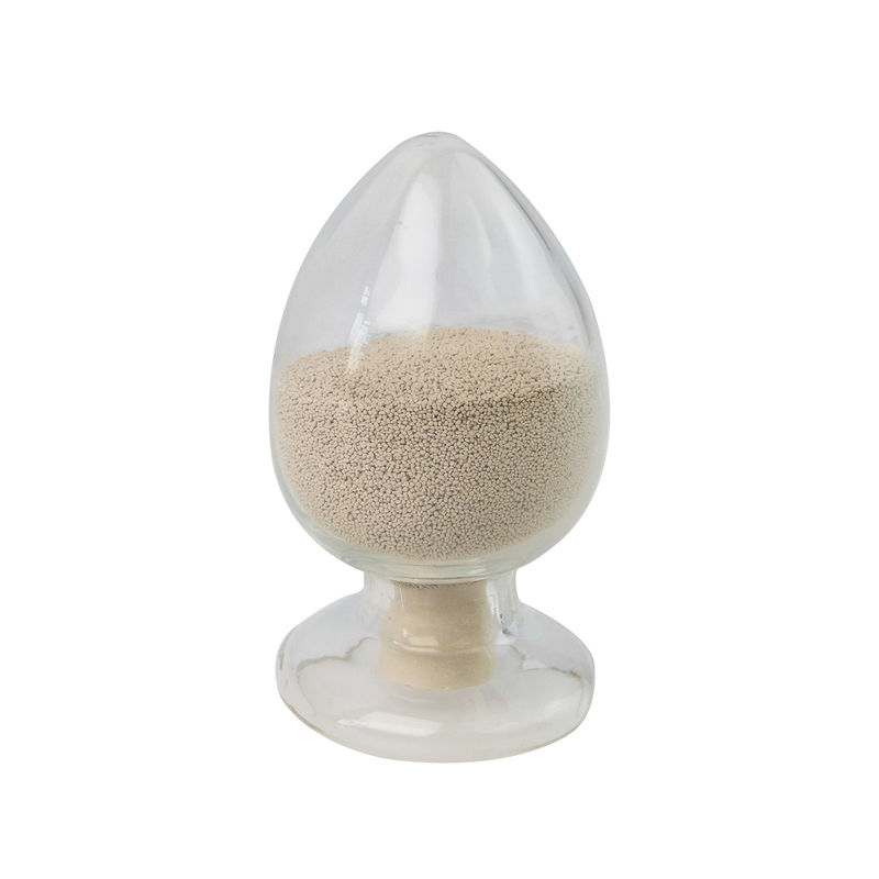 50000U Cas 9001 05 2 カタラース粉 食品用 白い粉