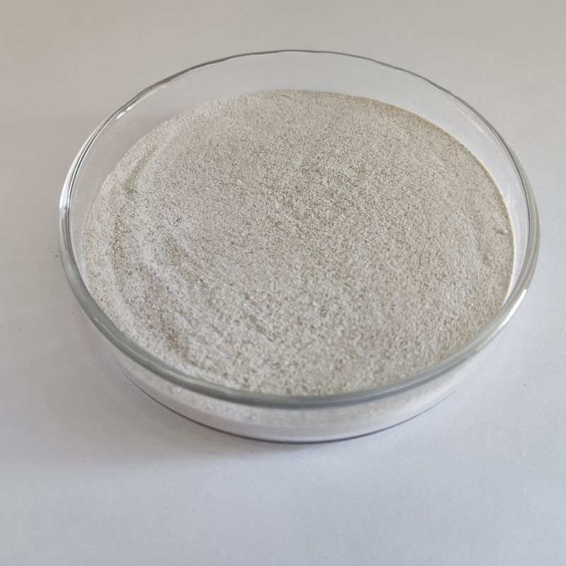 50工業級カタラーゼ液体粉末 繊維電子食品産業用