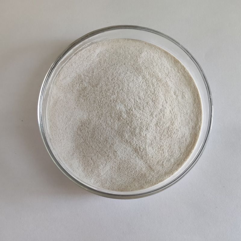 ハビオ アルファ ガラクトシダース 50,000 U/G パウダー 水溶性食品用添加物
