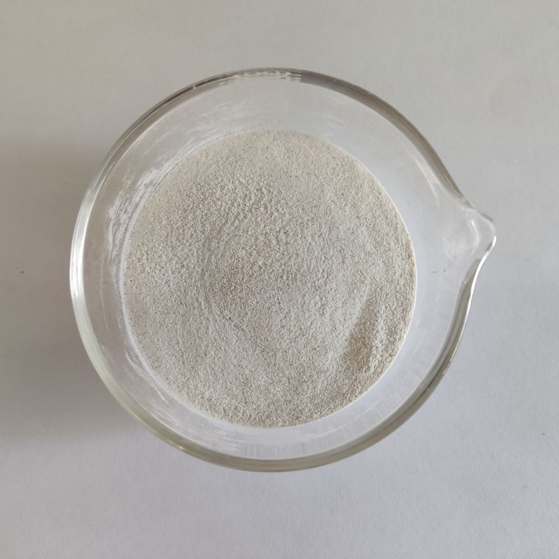 ハビオ アルファ ガラクトシダース 50,000 U/G パウダー 水溶性食品用添加物