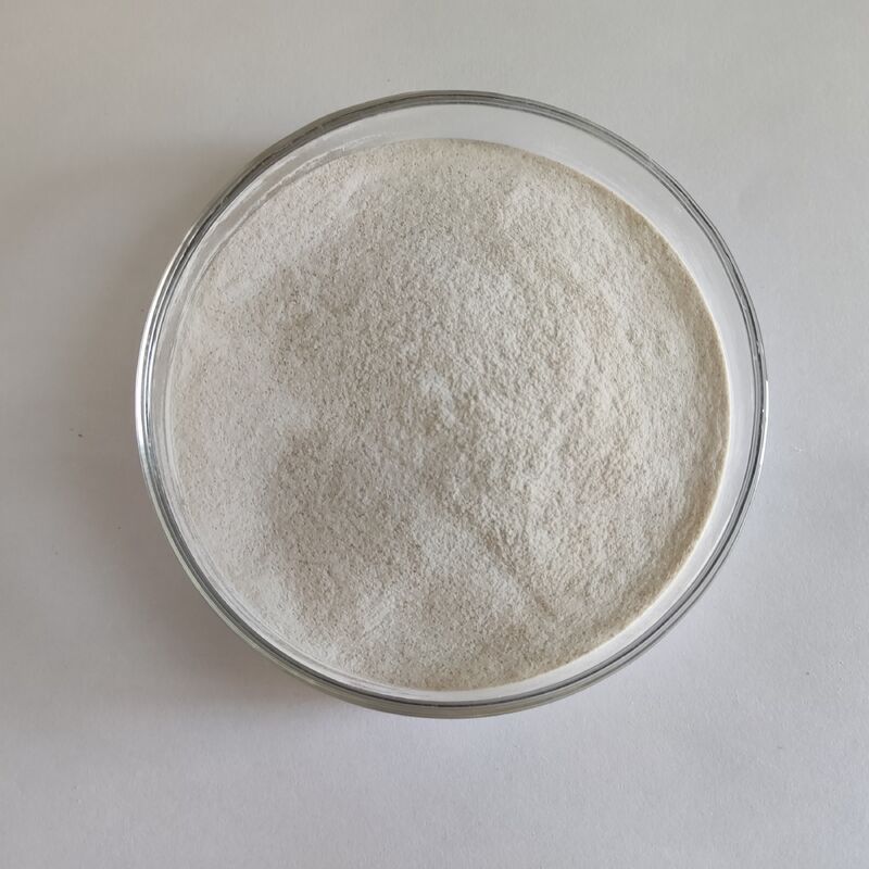 ハビオ アルファ ガラクトシダース 10,000 U/G 粉末 飼料添加物 ソヤ豆の粉末加工および畜産用