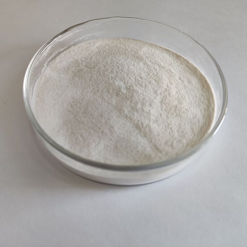 ハビオ アルファ ガラクトシダース 10,000 U/G 粉末 飼料添加物 ソヤ豆の粉末加工および畜産用
