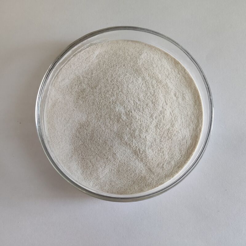 ハビオ アルファ ガラクトシダース 10,000 U/G 粉末 飼料添加物 ソヤ豆の粉末加工および畜産用