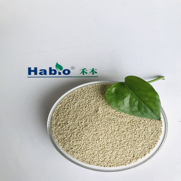 ISO9001証明の供給の等級のリパーゼのHabioの酵素の粉