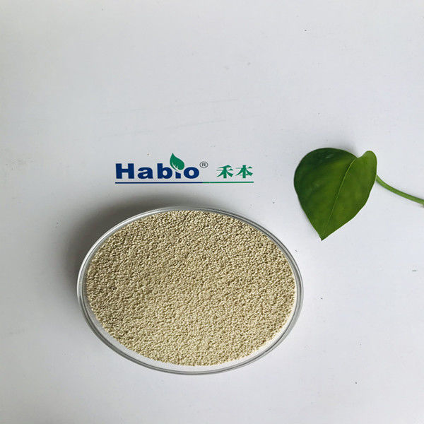 アニマル・スキンの状態のためのHabio Lipozymeの酵素の供給の添加物