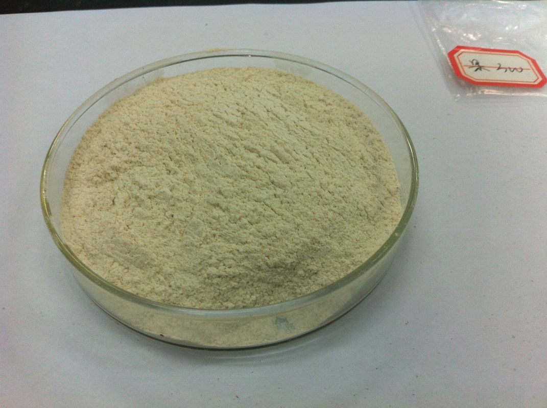 Cas 9032 75ジュースの生産のための1つの食品等級のペクチナーゼの酵素