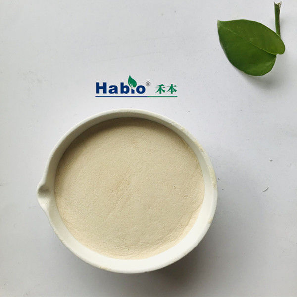 ホワイト NSP 酵素 熱安定 多消化酵素 薄茶色 粉末 麦麦