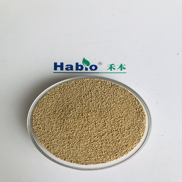 プレミックス NSP 酵素のフード酵素 プレミックス高活性のための茶色の黄色の粒
